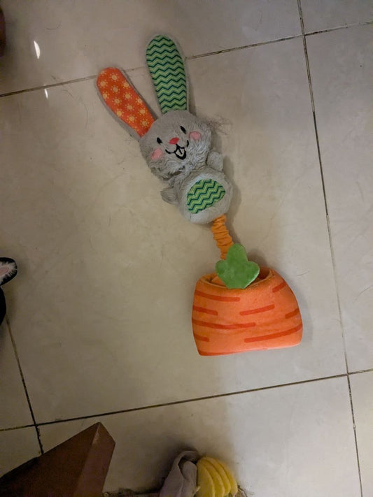 Rabbit in a Carrot [Zero or less inventory]